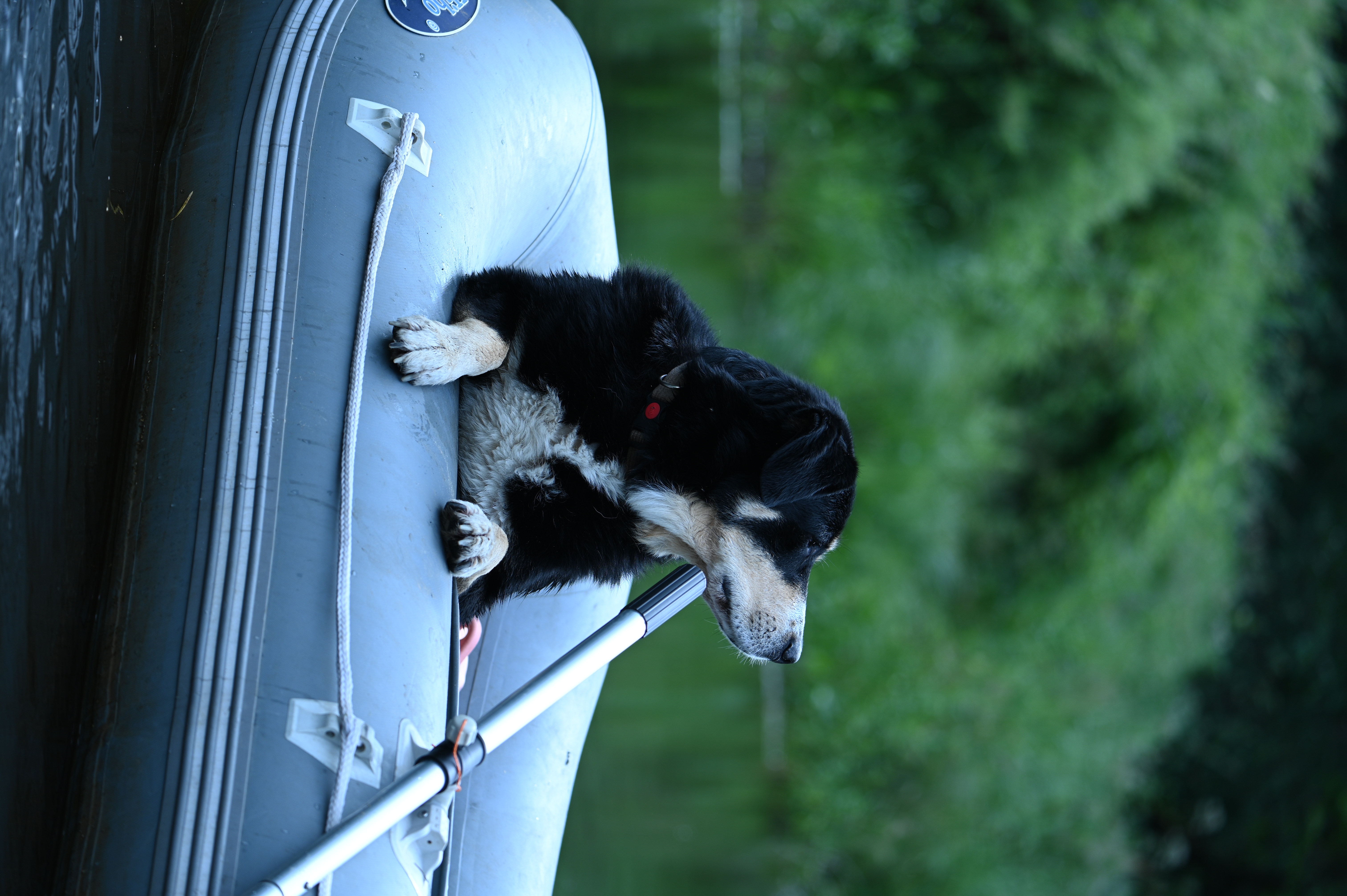 2025/07/09-14 - trip/DSC_0251.JPG